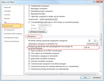 Dialoogvenster 'Opties voor Word' waar je kan aangeven dat je een opmaakgebied wil zien om de stijlen makkelijk te kunnen controleren