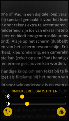 Schermafbeelding verglooglas iOS10 omgekeerde grijstinten.